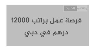 فرصة عمل براتب 12000 درهم في دبي